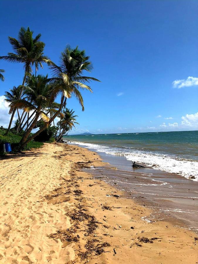 Mariposa Beach House Humacao Eksteriør billede